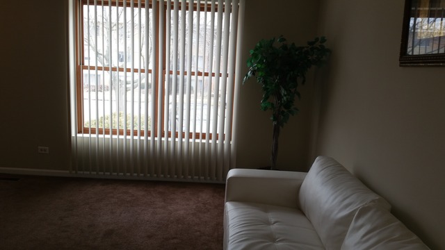 1409 Indiana Street, Unit 1409 St. Charles, IL 60174 - Photo 3 of 15 a living room with furniture and a window