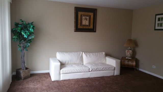 1409 Indiana Street, Unit 1409 St. Charles, IL 60174 - Photo 4 of 15 a living room with furniture and a potted plant