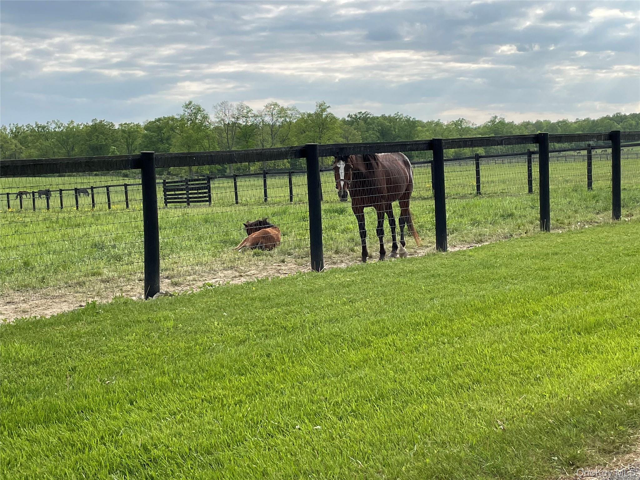 40 Bates Lane Wallkill, NY 12589 - Photo 2 of 7