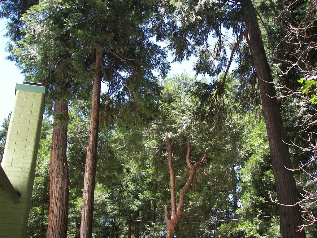 1101 Big Tree Lane Crestline, CA 92325 - Photo 28 of 30 a backyard of a house with lots of trees