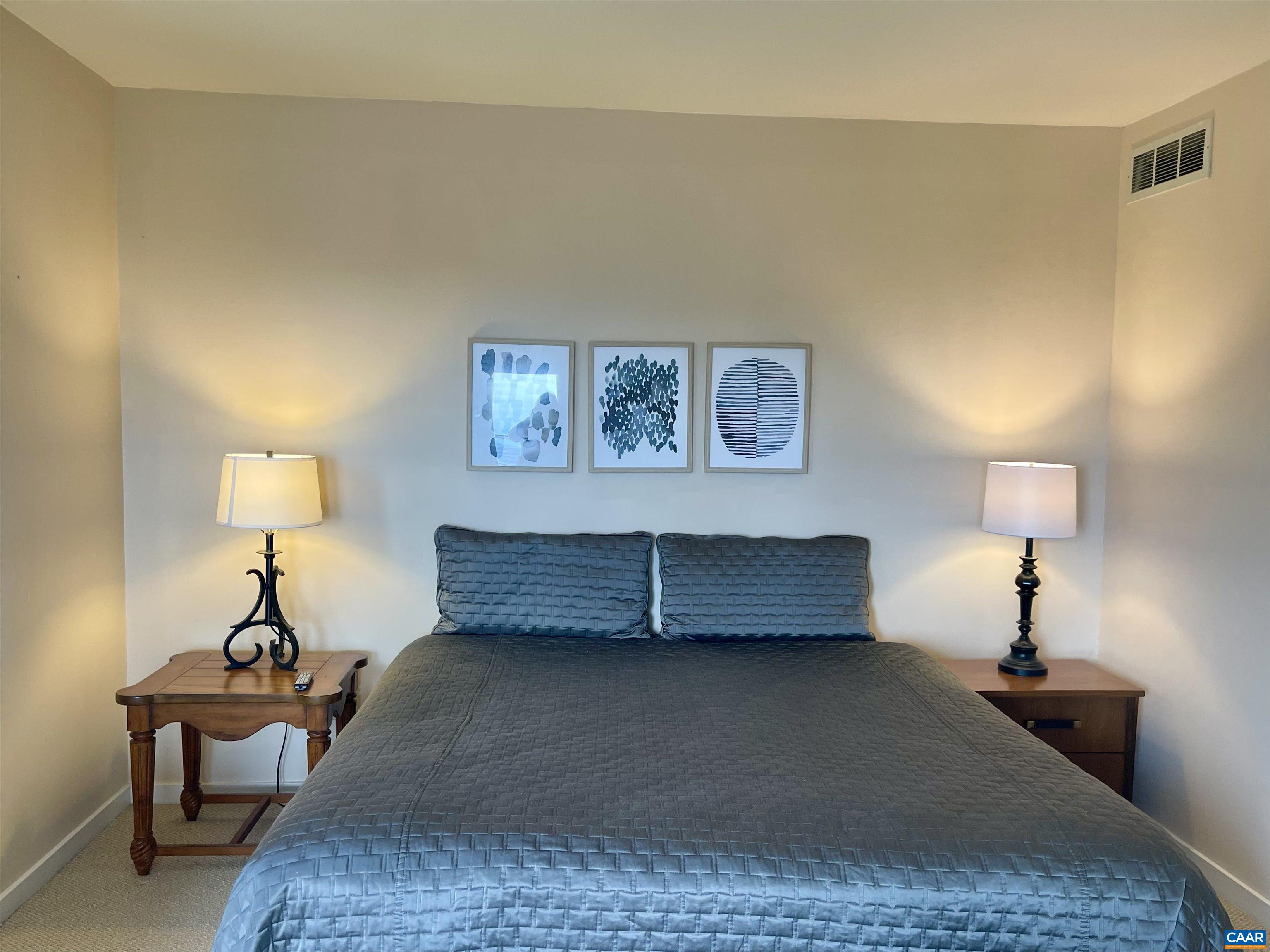 1613 Overlook Condos Roseland, VA 22967 - Photo 20 of 35 a bedroom with a bed and a lamp