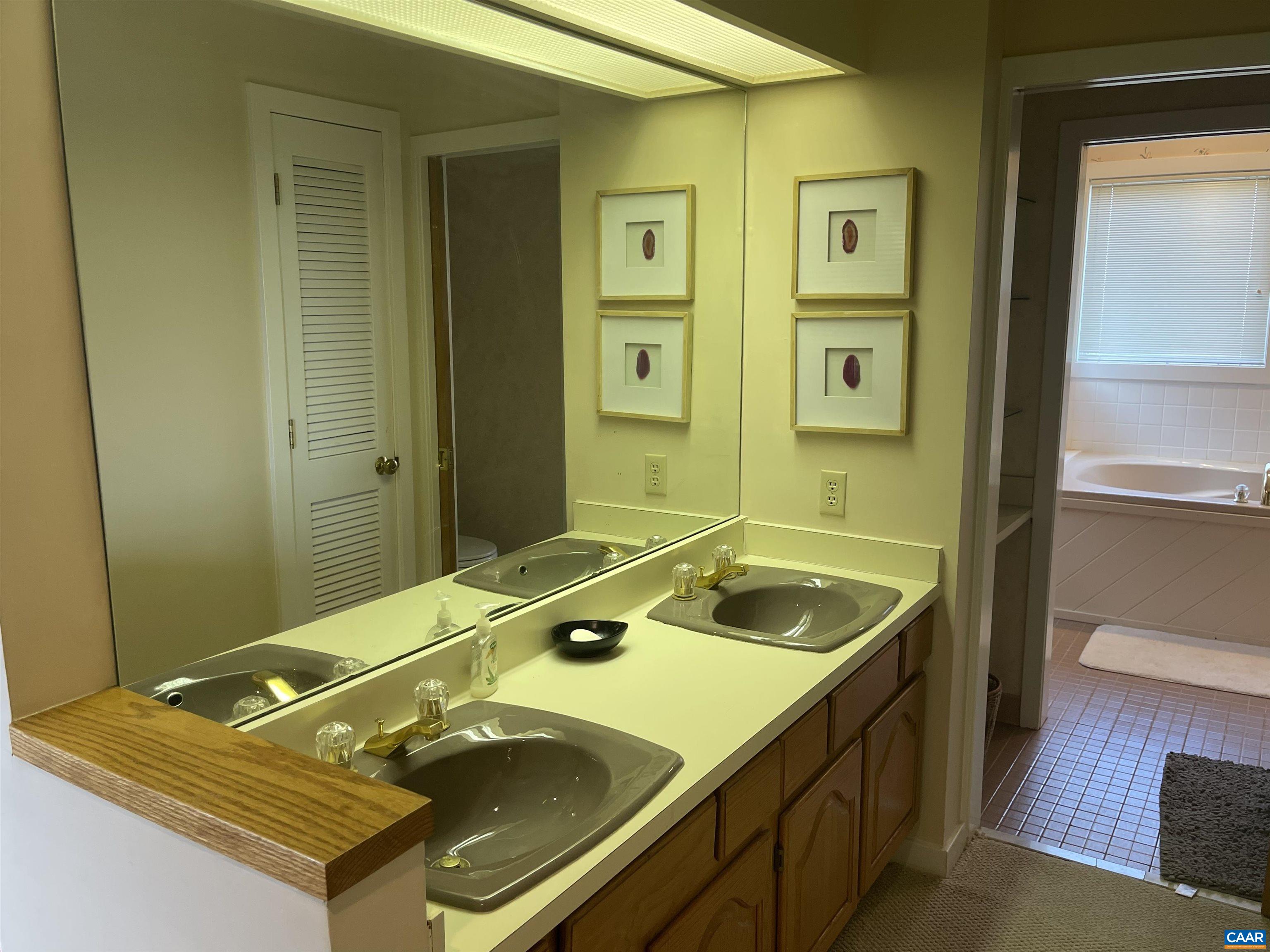 1613 Overlook Condos Roseland, VA 22967 - Photo 23 of 35 a bathroom with a sink and a mirror