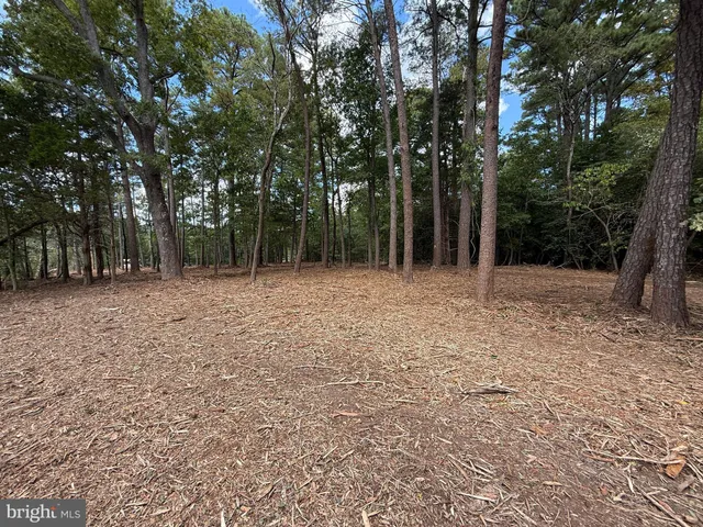 $850,000 | 27-56a Peake Road, Weems, VA 22576