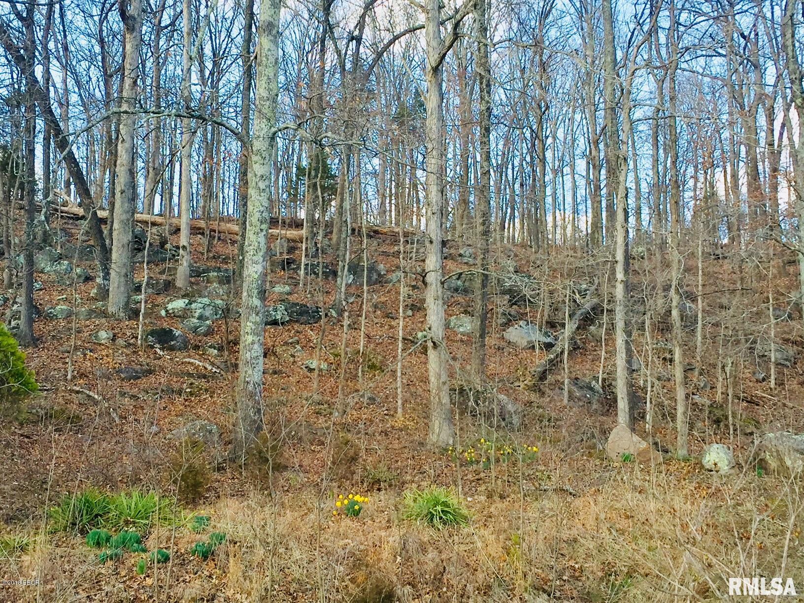 505 Kerr Canyon Road Cobden, IL 62920 - Photo 7 of 50 Gallery Image 7