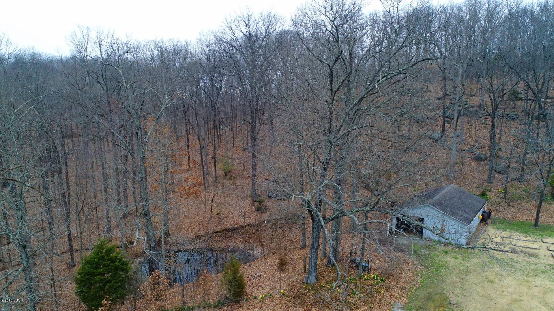 505 Kerr Canyon Road Cobden, IL 62920 - Photo 9 of 50 Gallery Image 9