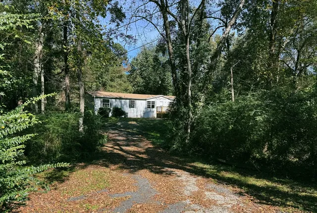 a view of a park with a trees