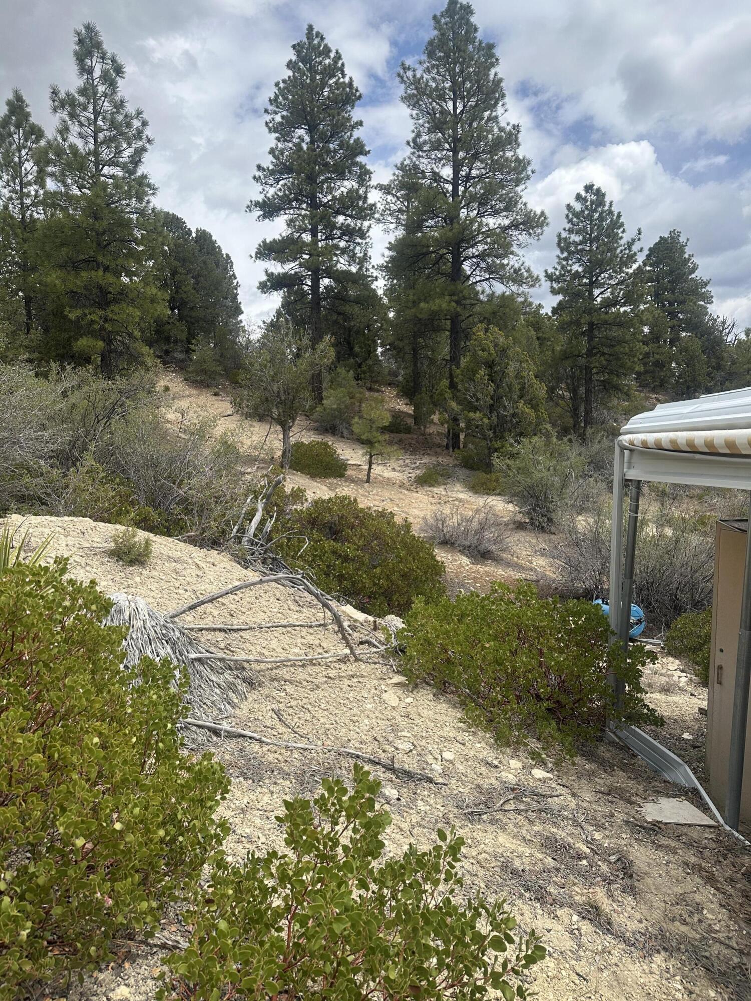 11685 Fir Road Orderville, UT 84758 - Photo 6 of 65 IMG_8582