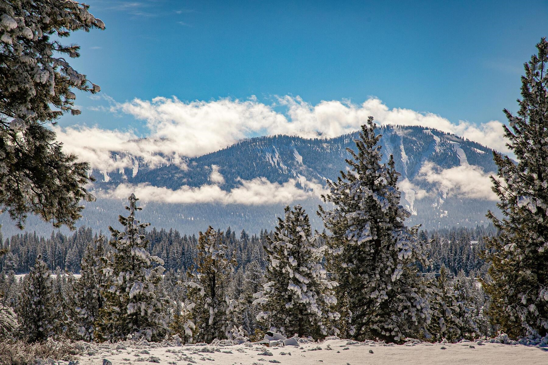 12381 Lookout Loop, Unit F1352 Truckee, CA 96161 - Photo 13 of 13 a view of a yard of a house