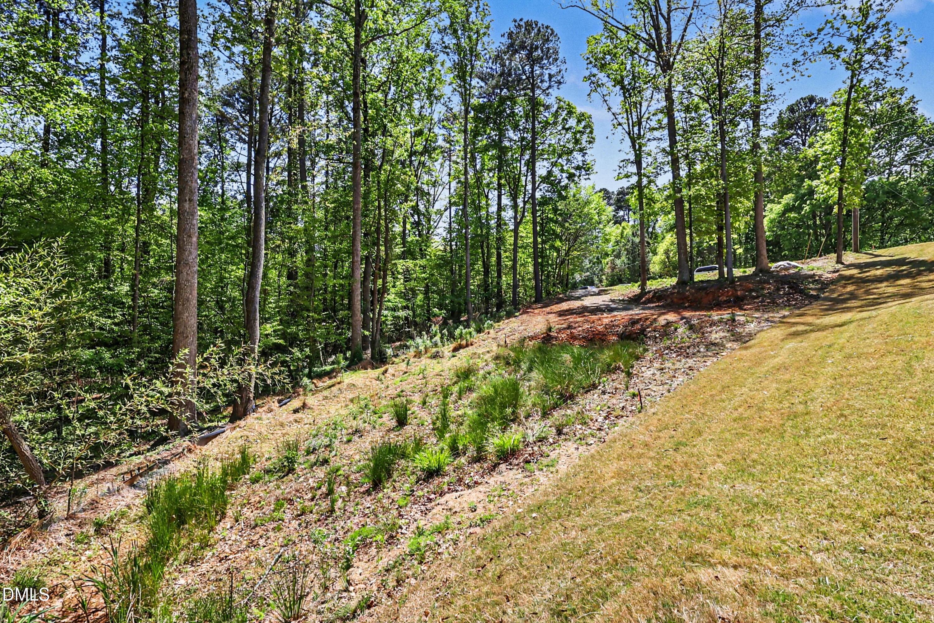 810 Southwest Maynard Road Cary, NC 27511 - Photo 6 of 14 a view of a pathway both side of yard