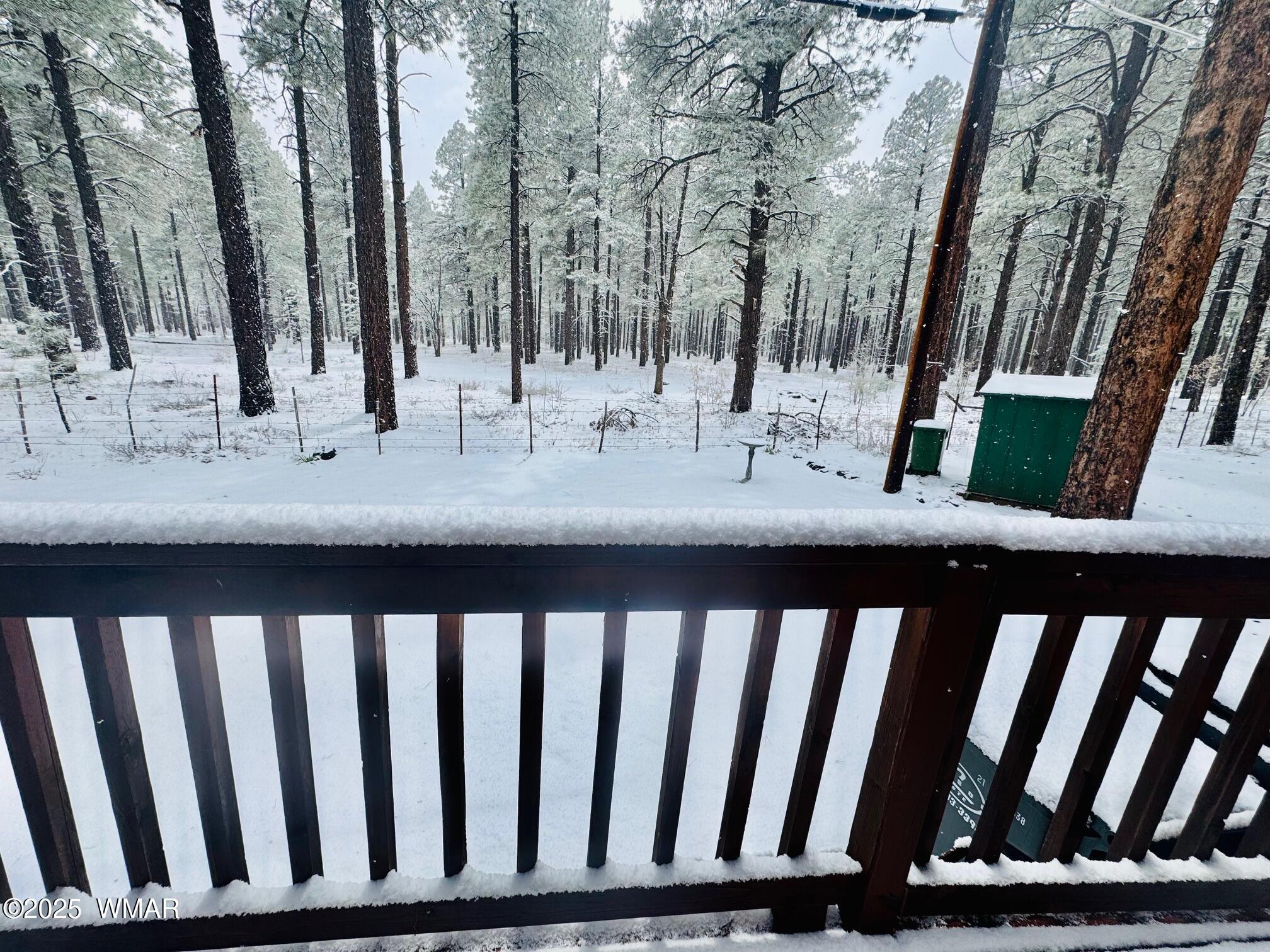 5185 South Blue Ridge Loop Pinetop, AZ 85935 - Photo 16 of 22 Forest Views
