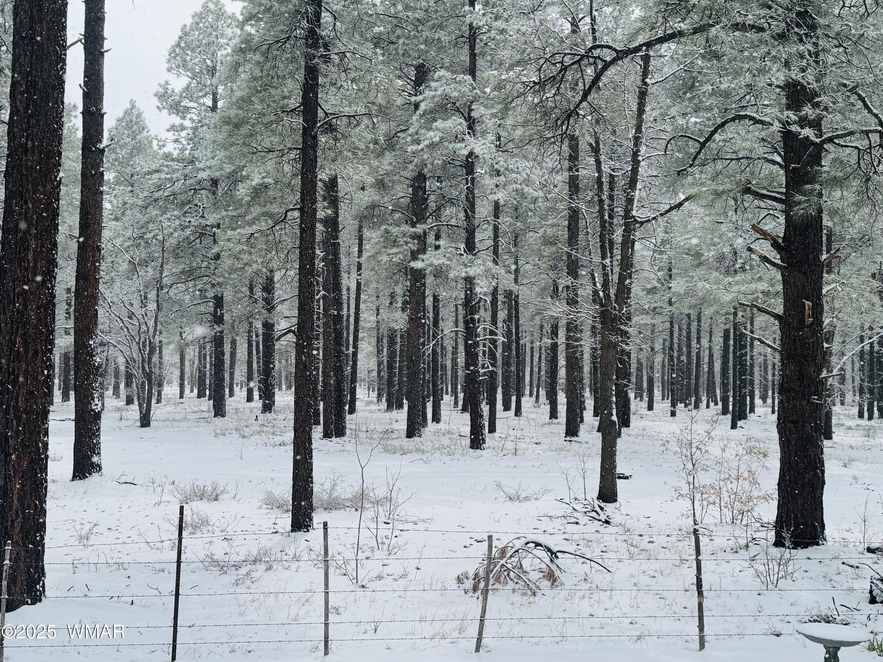 5185 South Blue Ridge Loop Pinetop, AZ 85935 - Photo 17 of 22 Forest Views