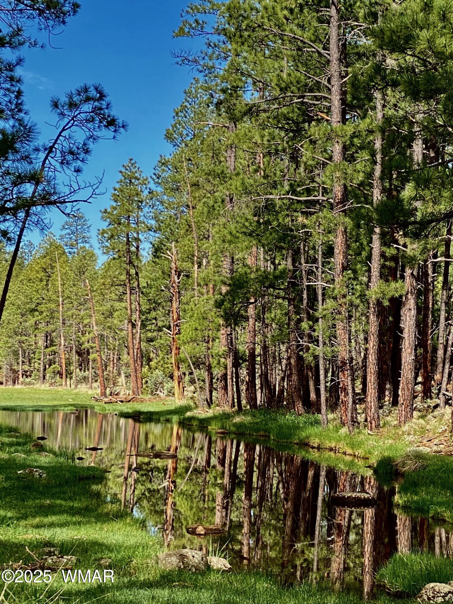 5185 South Blue Ridge Loop Pinetop, AZ 85935 - Photo 19 of 22 IMG_5049
