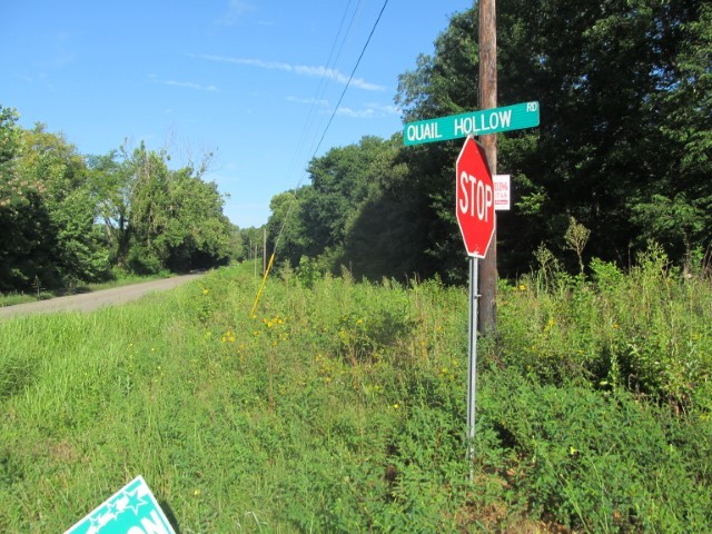 175 Railroad Bed Road Summertown, TN 38483 - Photo 3 of 3 Gallery Image 3