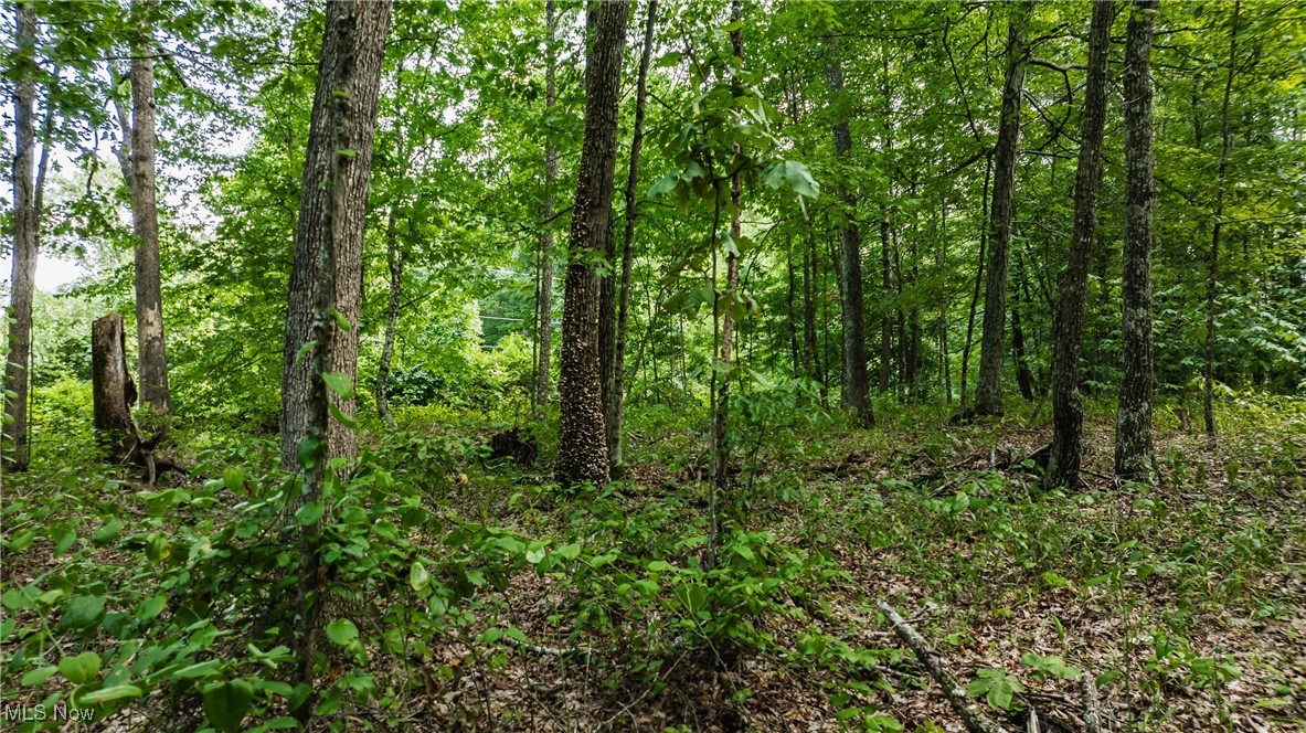 1187 Umstead Ridge Palestine, WV 26160 - Photo 6 of 12