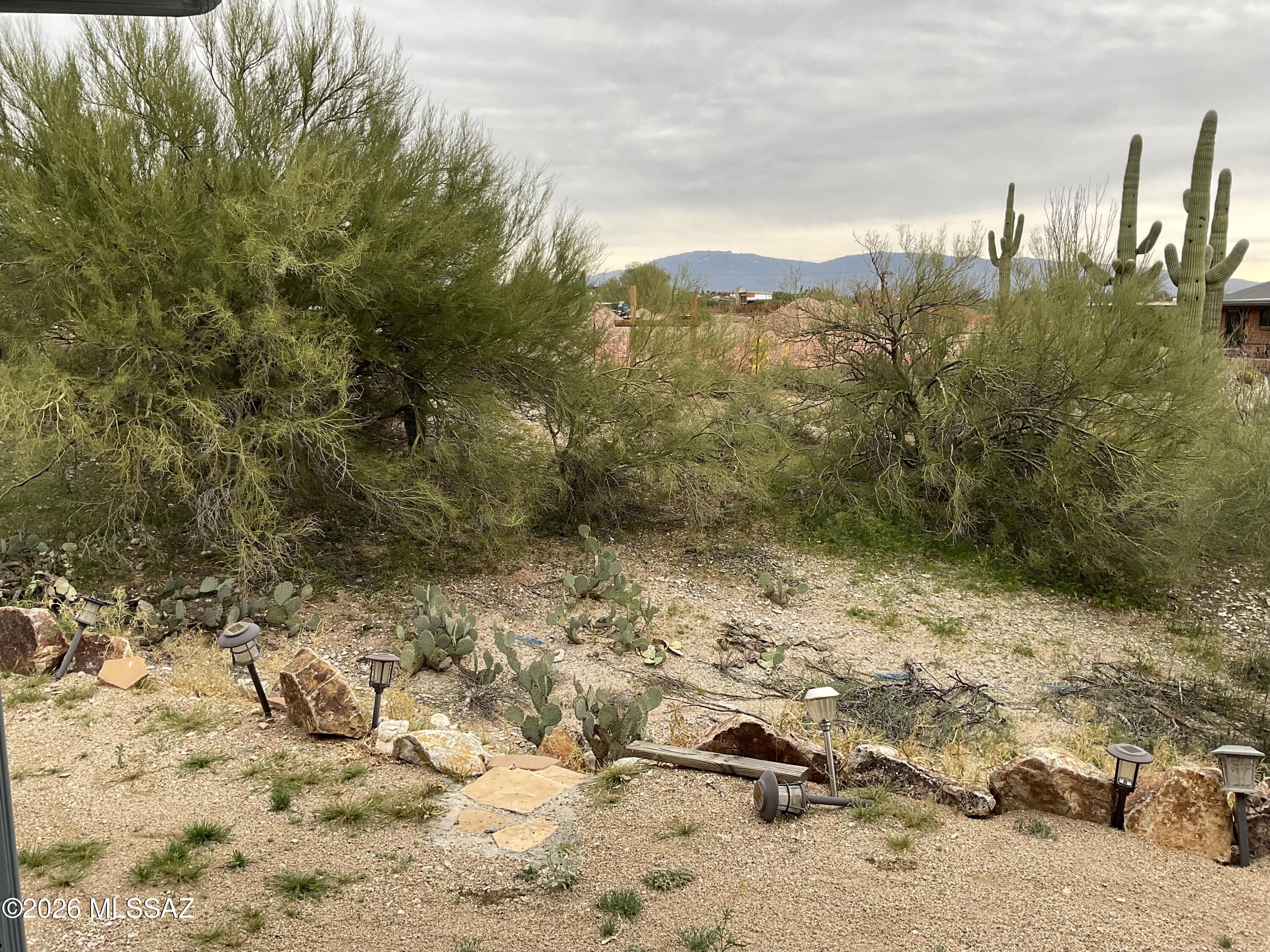 4060 North Swan Road Tucson, AZ 85718 - Photo 44 of 47 a view of a pathway with a yard