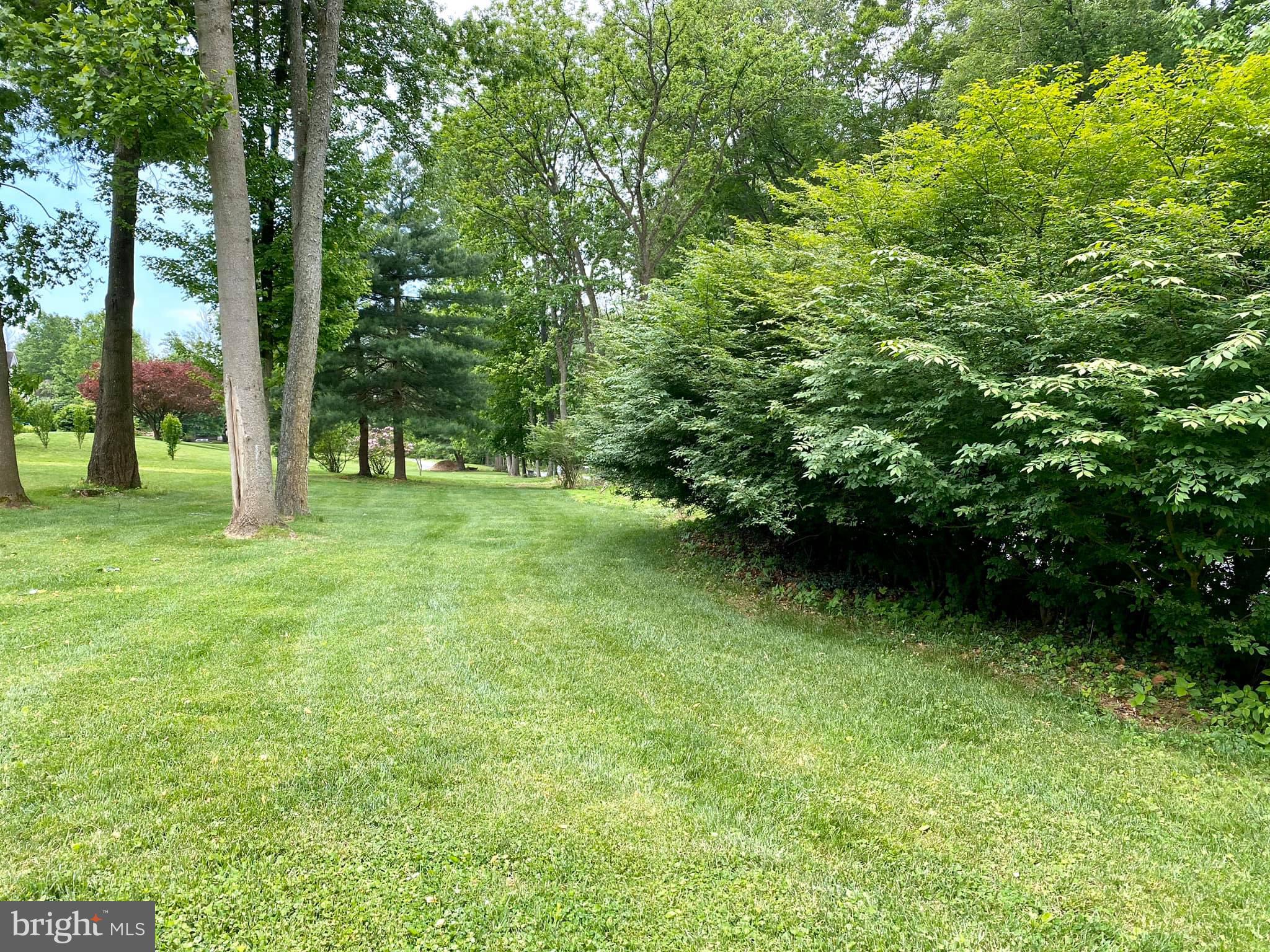 360 Marshall Road Downingtown, PA 19335 - Photo 5 of 32 front yard