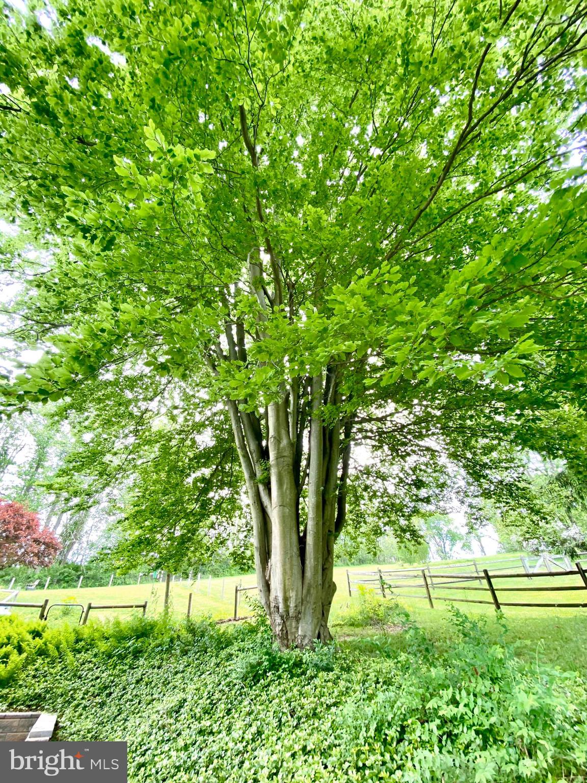 360 Marshall Road Downingtown, PA 19335 - Photo 6 of 32 Gallery Image 6