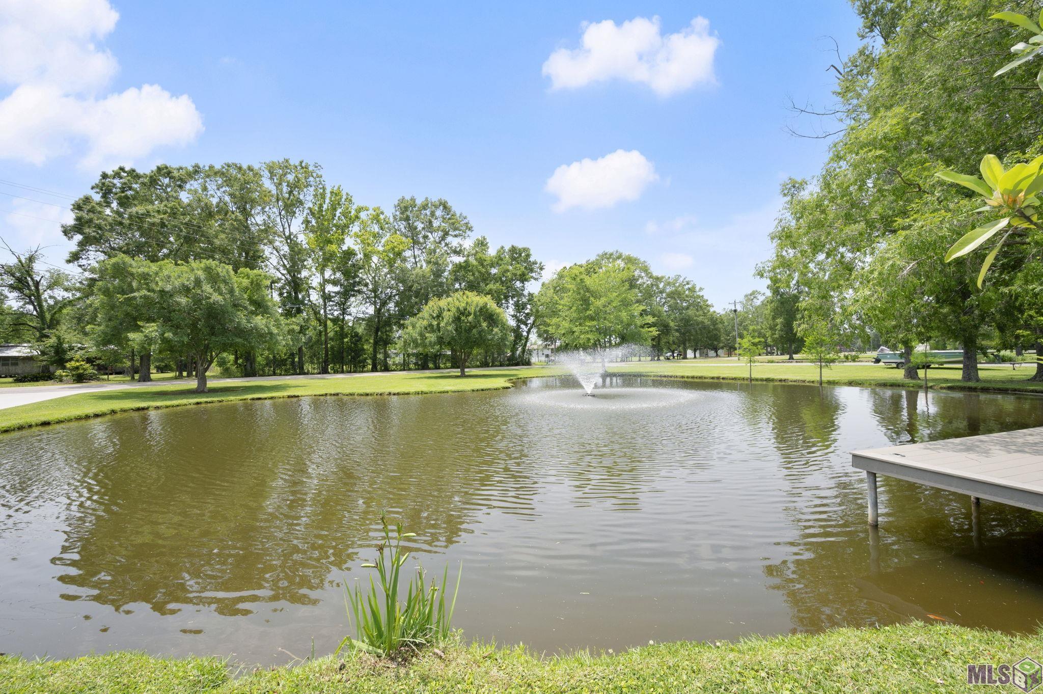 40348 Abby James Road Prairieville, LA 70769 - Photo 54 of 60