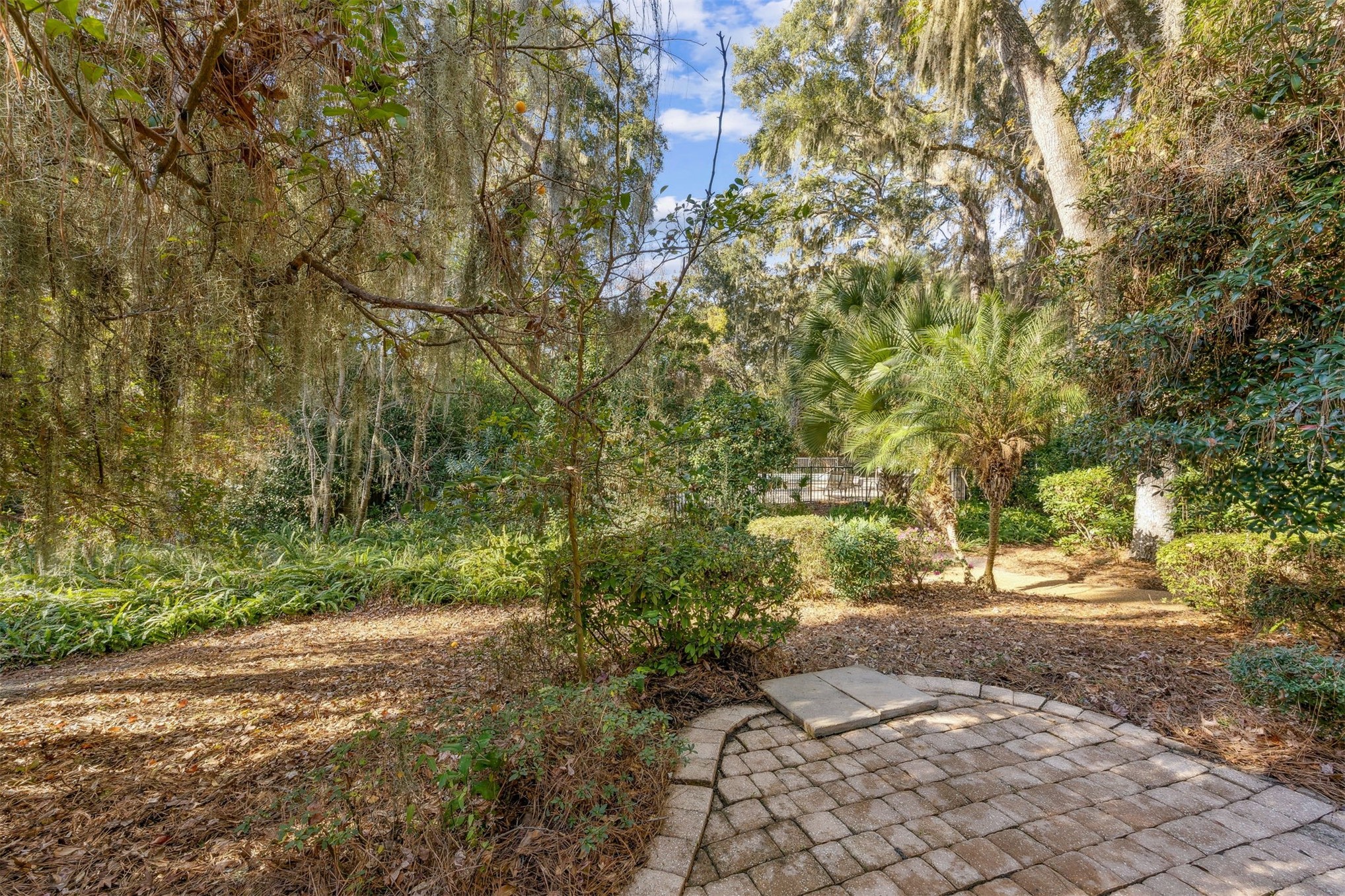 3207 Sea Marsh Road Fernandina Beach, FL 32034 - Photo 27 of 37 a pathway of a yard