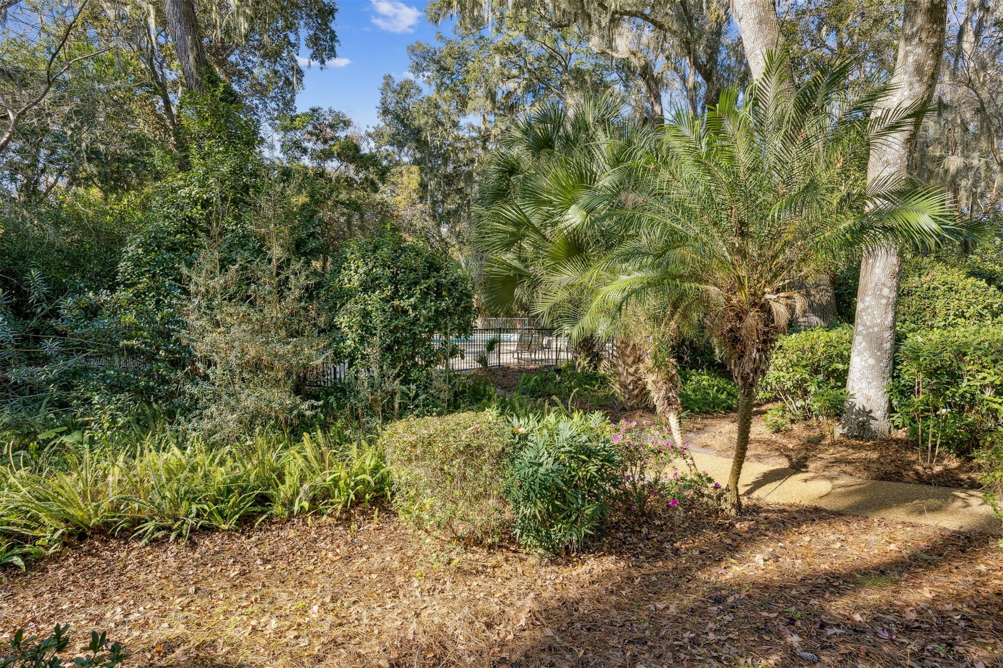3207 Sea Marsh Road Fernandina Beach, FL 32034 - Photo 28 of 37 a view of a garden with plants