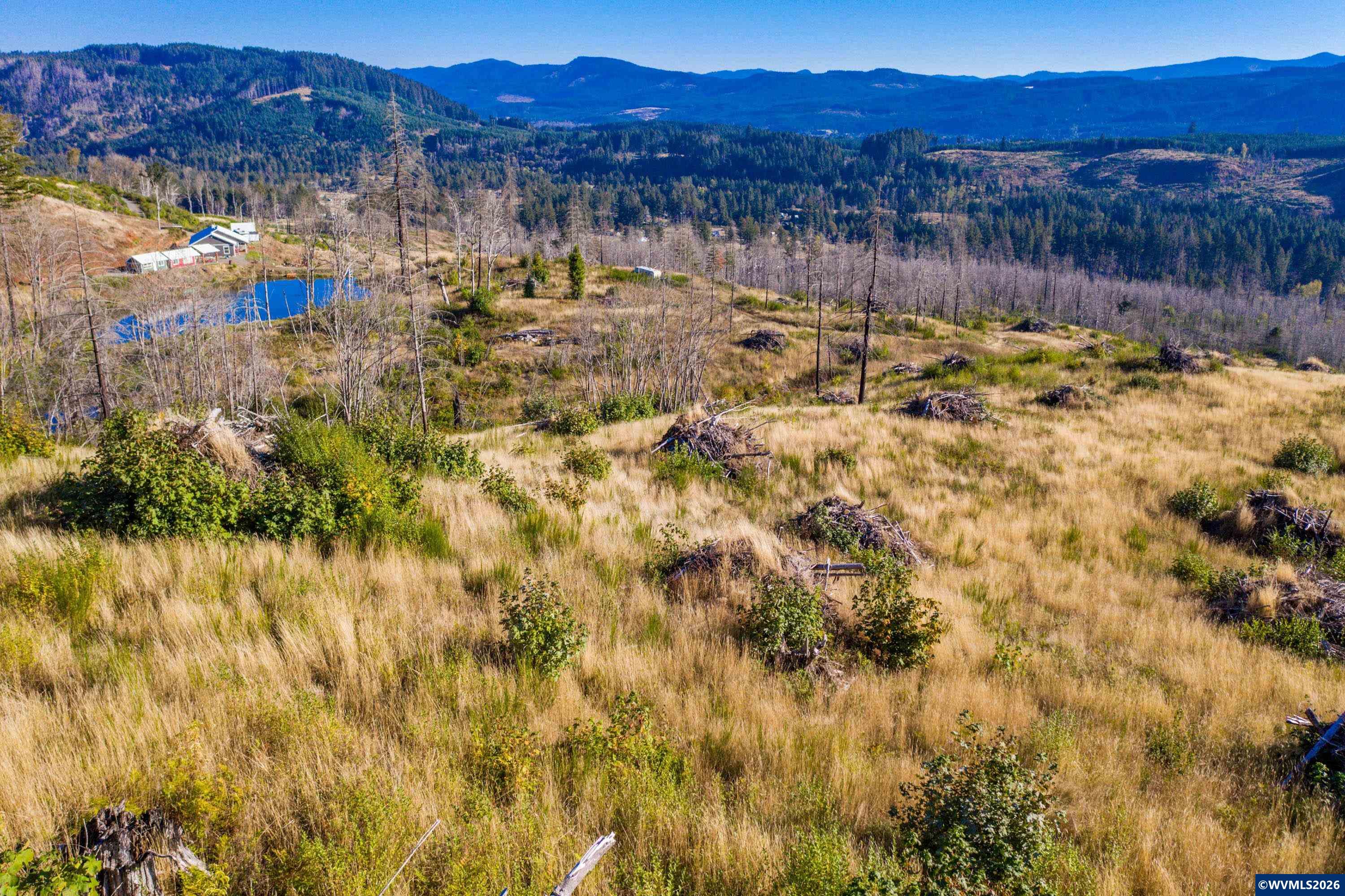 10915 Southeast Kubin Road Lyons, OR 97358 - Photo 17 of 37 a view of lake with mountain
