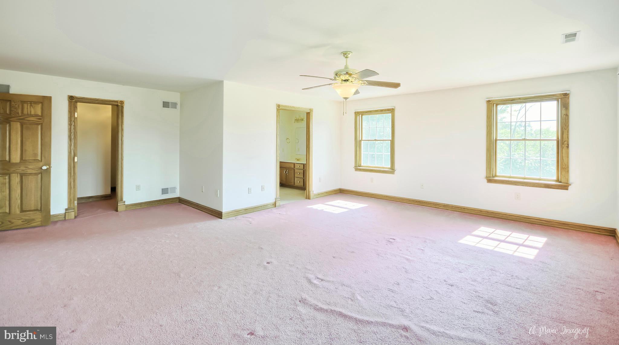 17604 Spielman Road Fairplay, MD 21733 - Photo 21 of 29 Master Bedroom with walkin closet