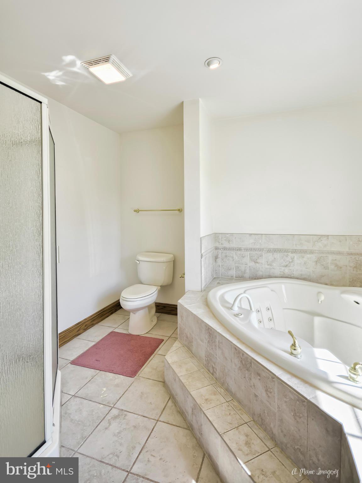 17604 Spielman Road Fairplay, MD 21733 - Photo 22 of 29 Soaking Tub and Separate Shower