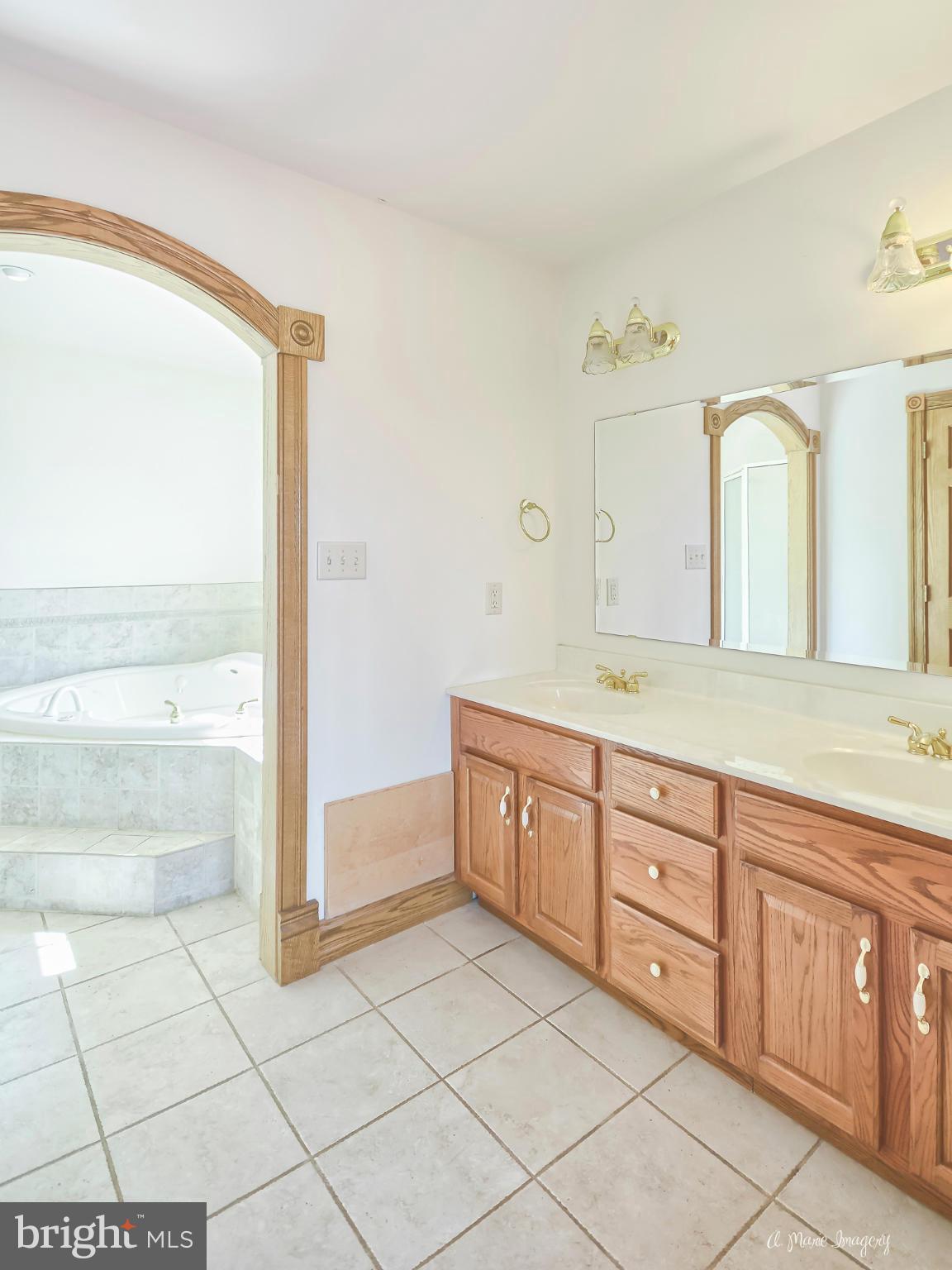 17604 Spielman Road Fairplay, MD 21733 - Photo 23 of 29 Master Bath