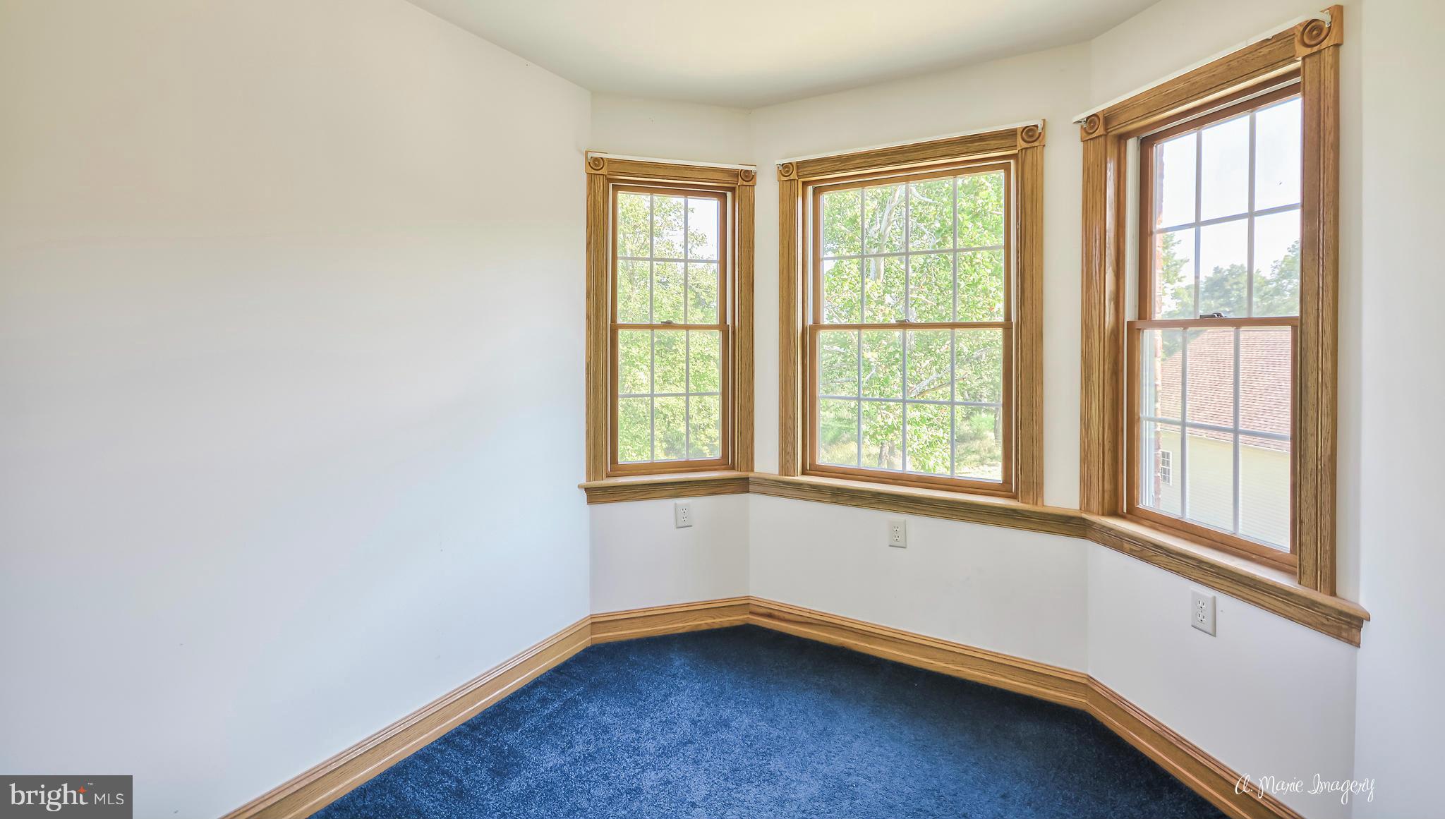 17604 Spielman Road Fairplay, MD 21733 - Photo 26 of 29 Closet off 2nd Bedroom