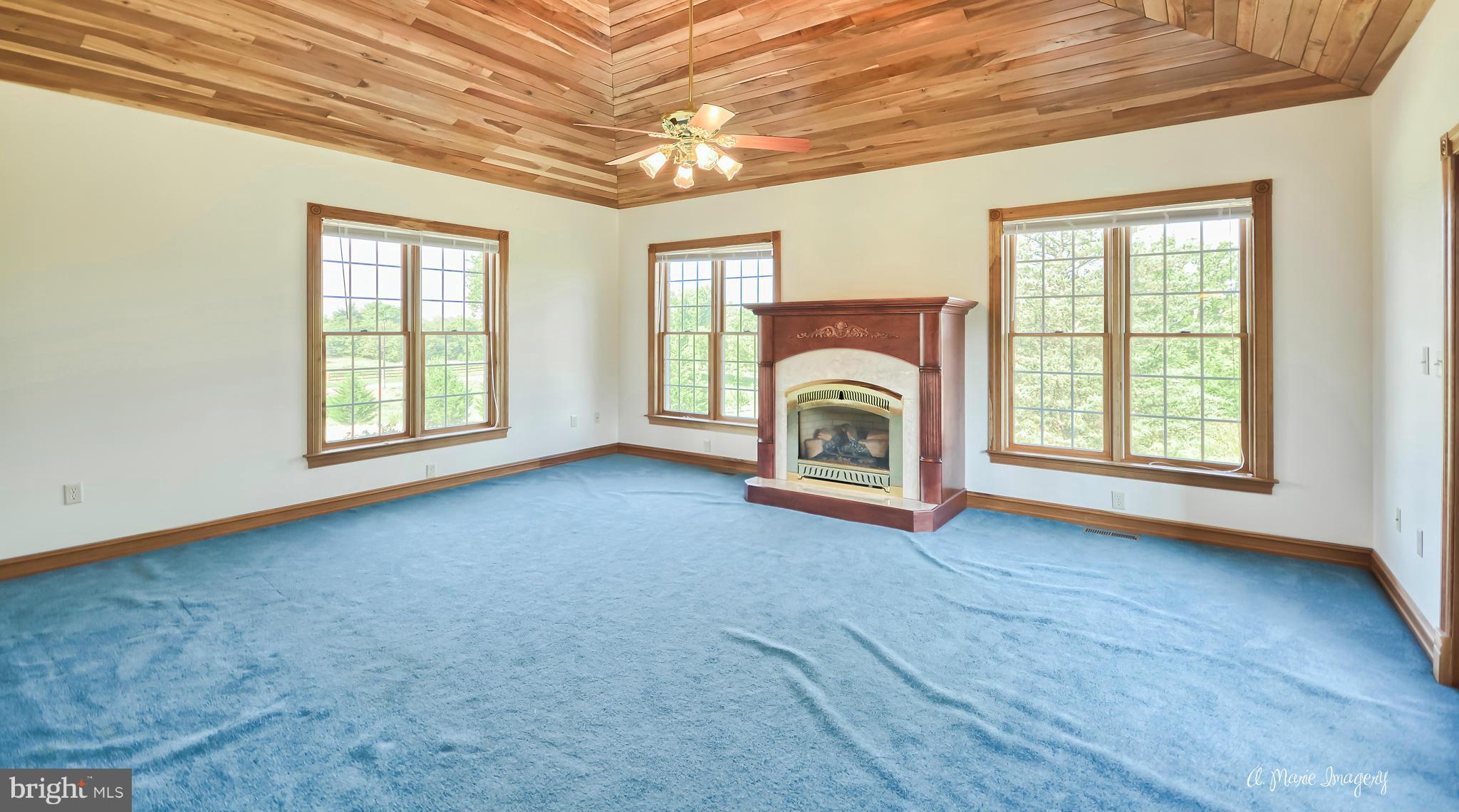 17604 Spielman Road Fairplay, MD 21733 - Photo 7 of 29 Living Room with gas fireplace