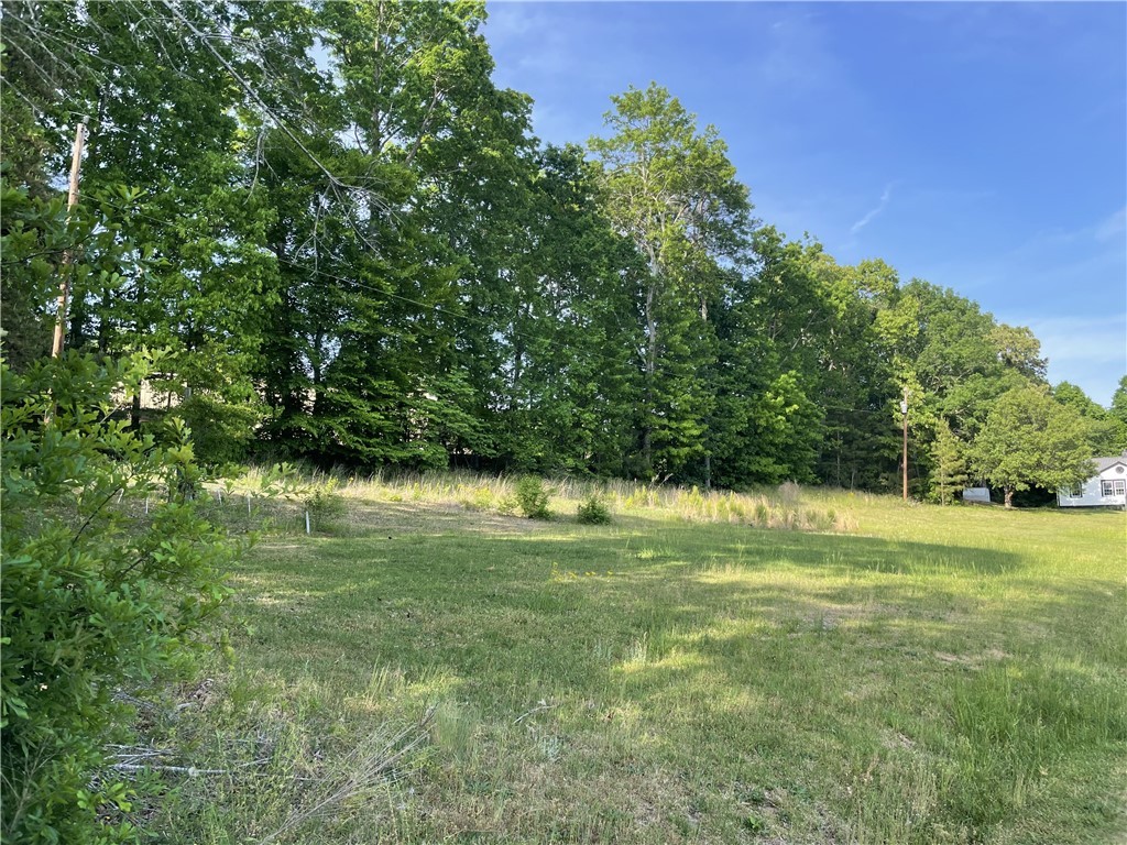 0 Clover Street Liberty, SC 29657 - Photo 12 of 12 Gallery Image 12