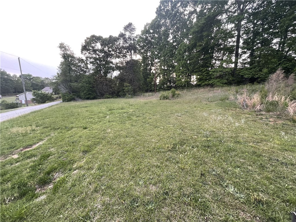 0 Clover Street Liberty, SC 29657 - Photo 2 of 12 Gallery Image 2