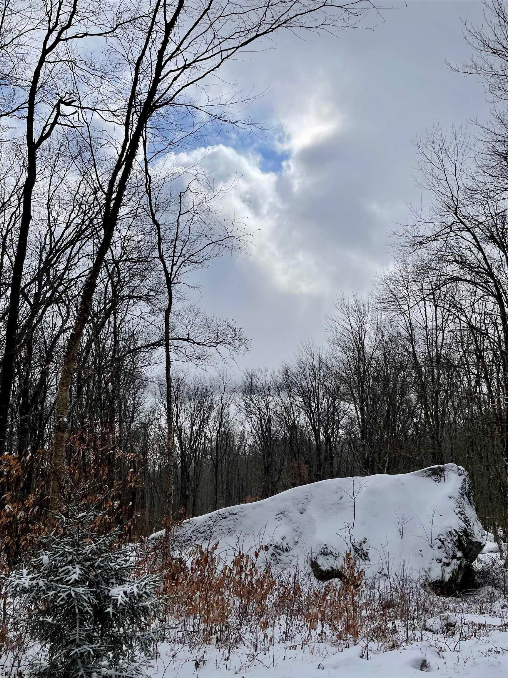 385 Canaan Loop Road Davis, WV 26260 - Photo 14 of 17 Gallery Image 14