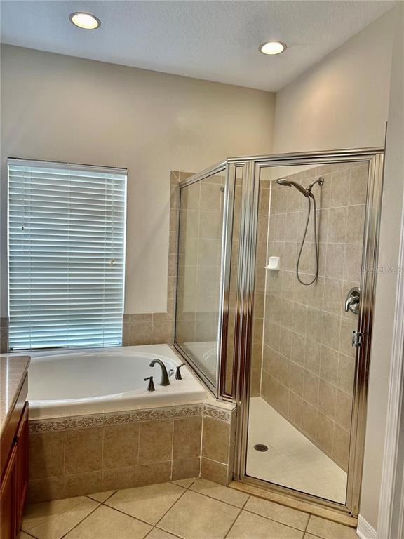 9249 Edistro Place New Port Richey, FL 34654 - Photo 34 of 82