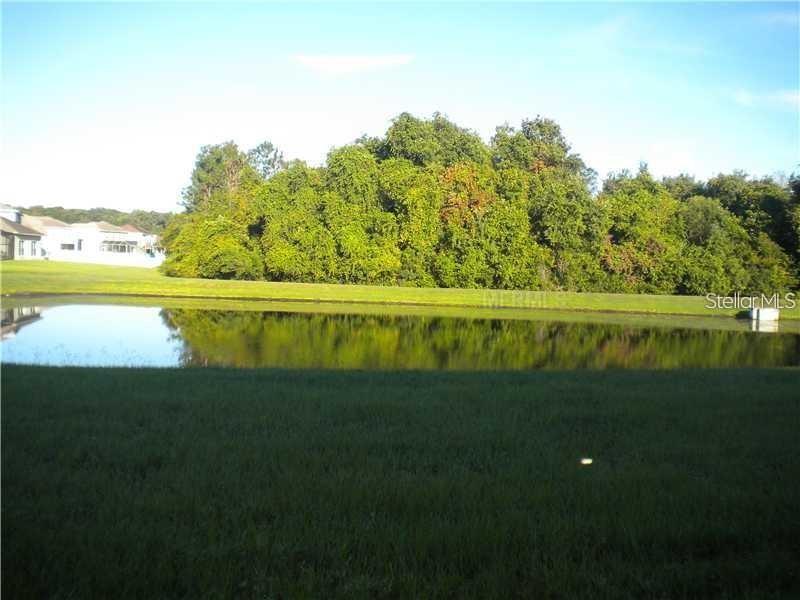 9249 Edistro Place New Port Richey, FL 34654 - Photo 67 of 82