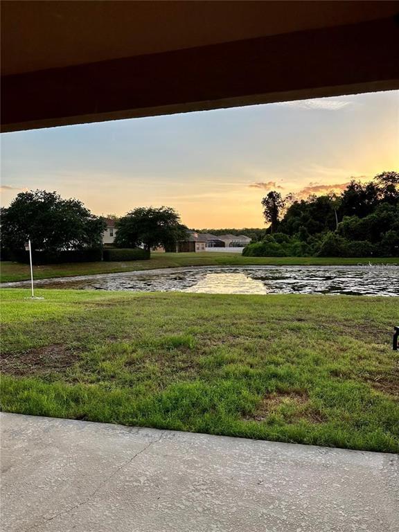 9249 Edistro Place New Port Richey, FL 34654 - Photo 68 of 82