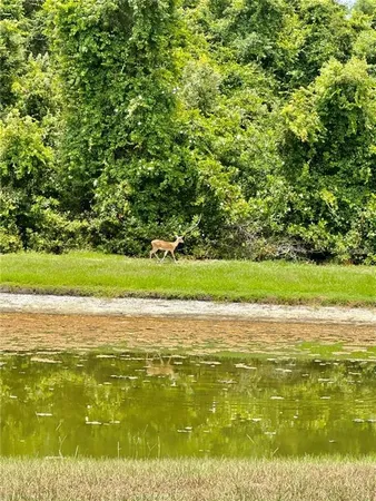 $2,600 | 9249 Edistro Place, New Port Richey, FL 34654