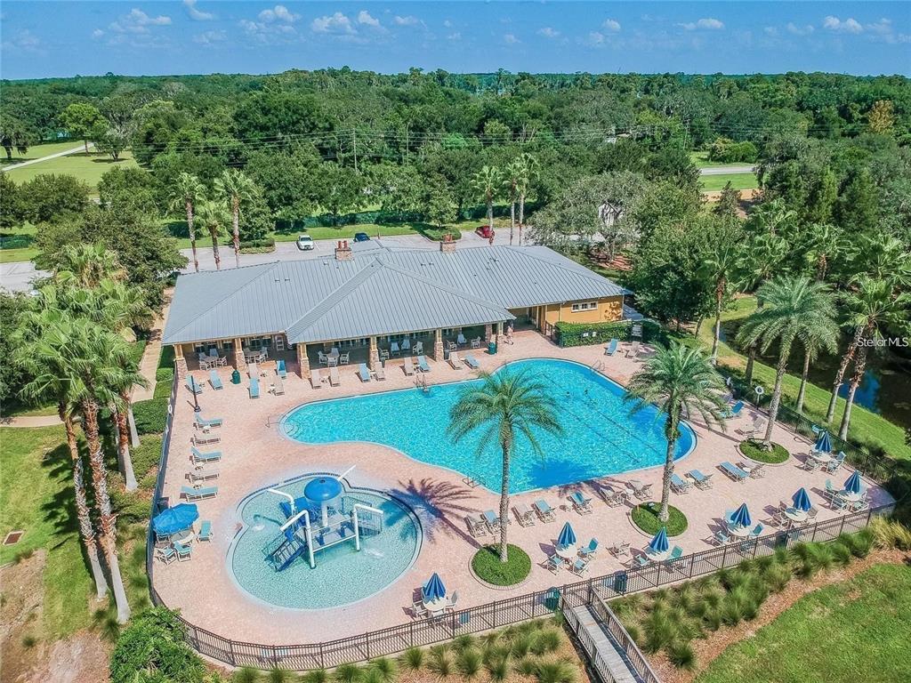 9249 Edistro Place New Port Richey, FL 34654 - Photo 73 of 82