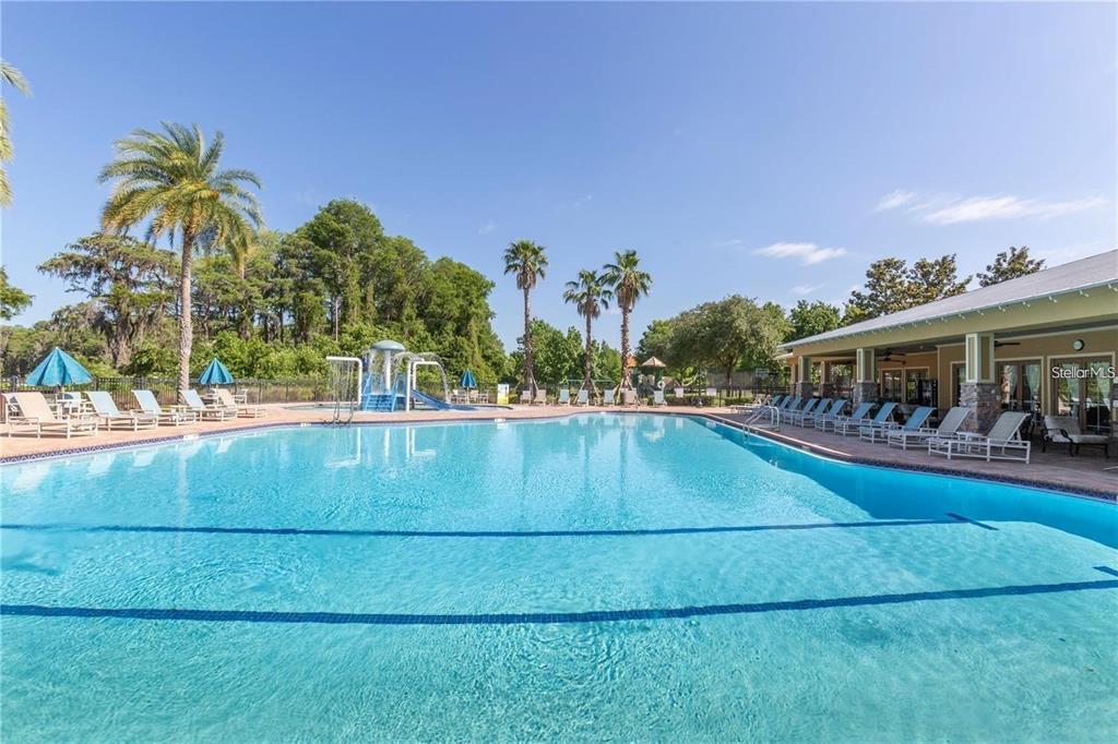 9249 Edistro Place New Port Richey, FL 34654 - Photo 74 of 82