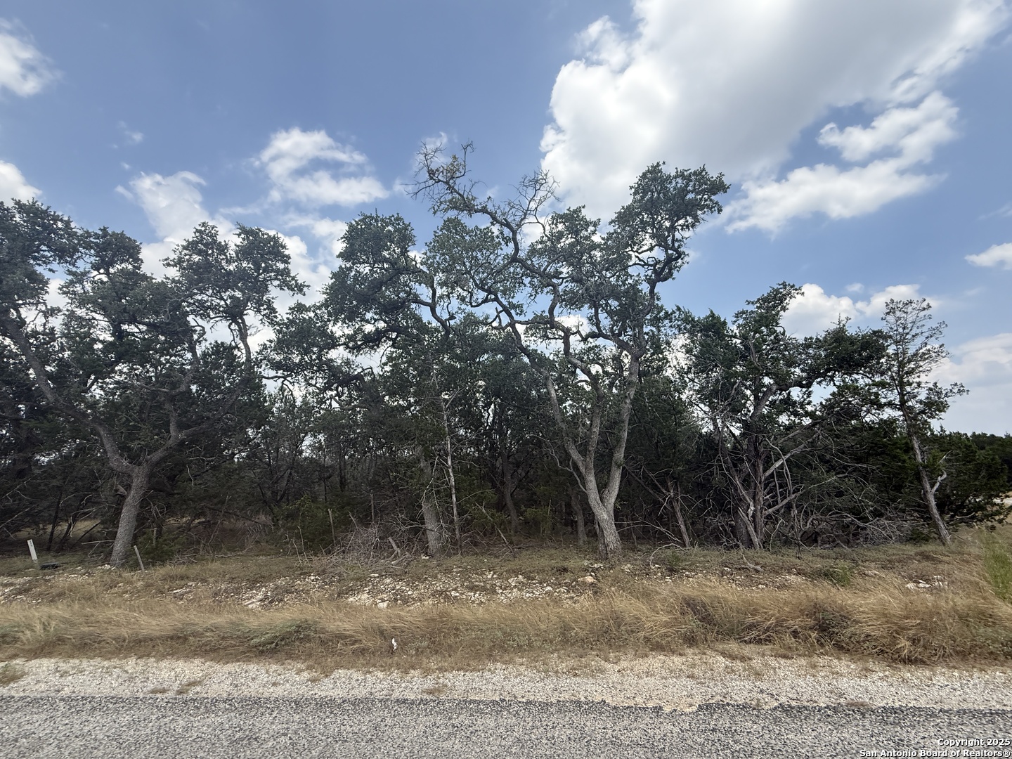 Lot 149 Serenity Pass/ Restless Wind Spring Branch, TX 78070 - Photo 13 of 15 a view of a yard with plants and trees
