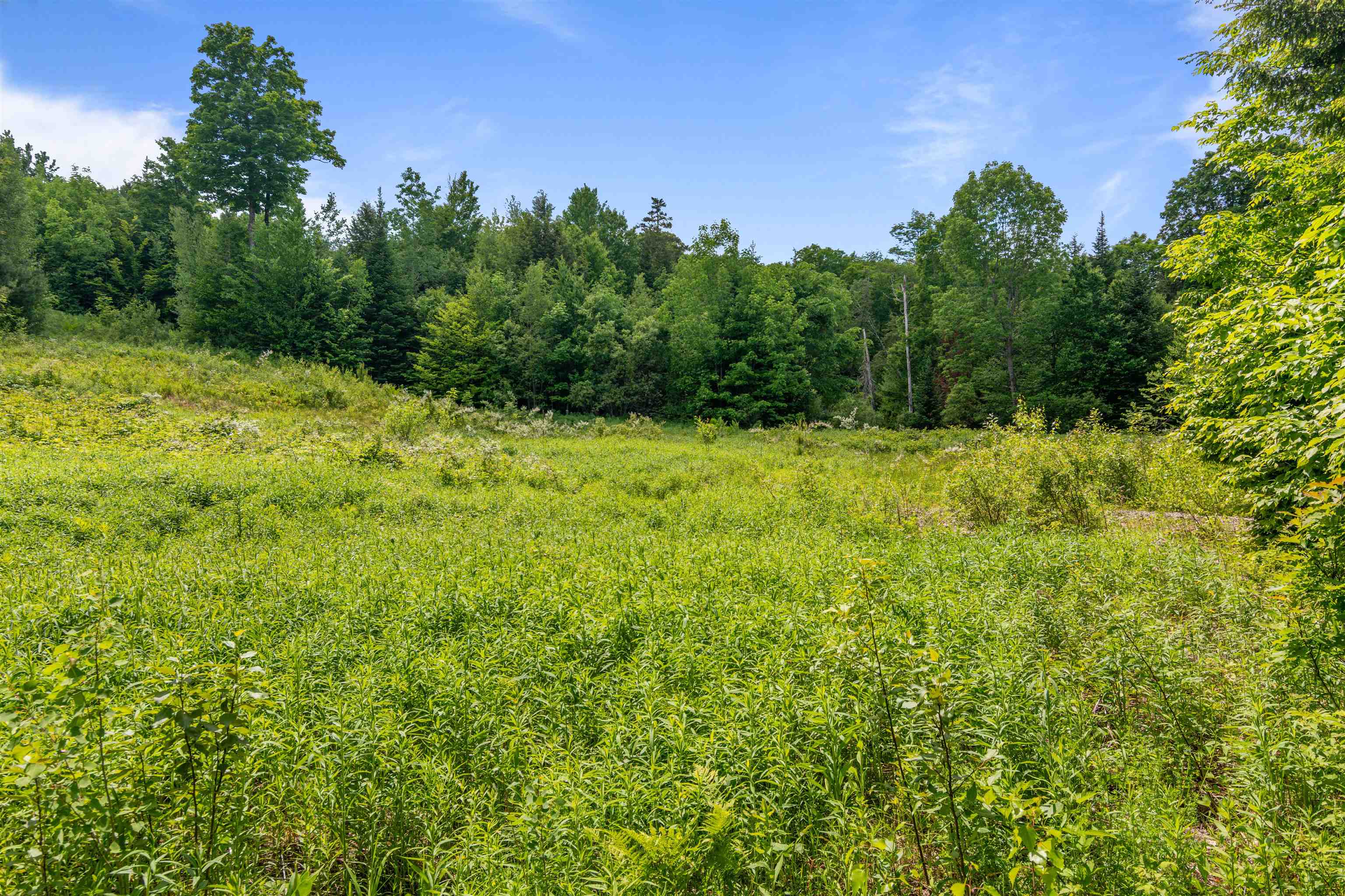 2285 Sterling Valley Road, Unit 2 Morristown, VT 05661 - Photo 25 of 25 Gallery Image 25