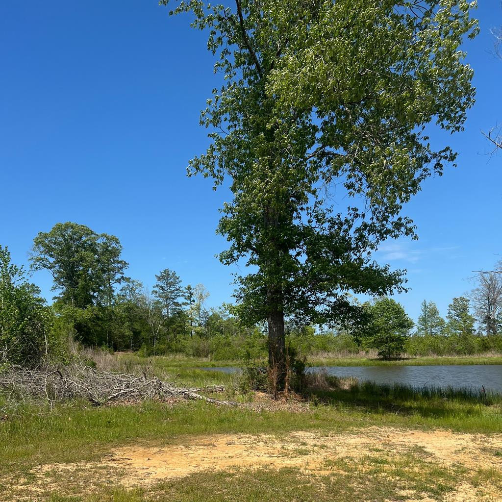 0 Ms-567 Liberty, MS 39645 - Photo 8 of 25 Photo 8