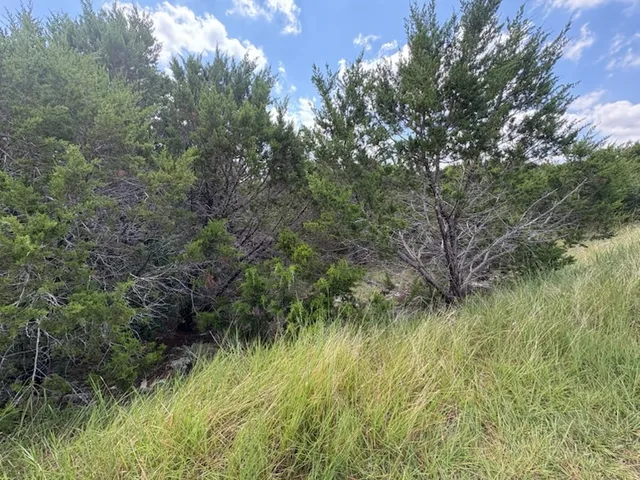 $114,900 | 47 Balcones Ridge Way, Bertram, TX 78605