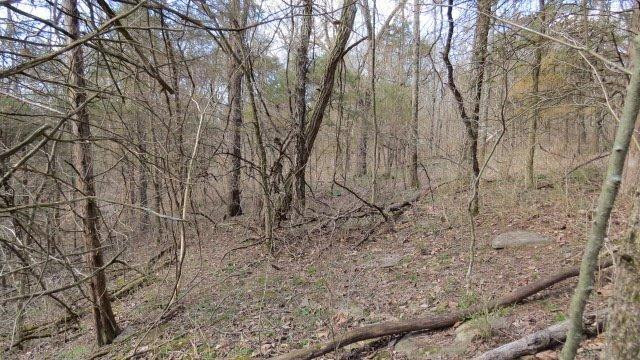 1 Baxter Ridge Road Lawrenceburg, KY 40342 - Photo 4 of 13 Photo 4