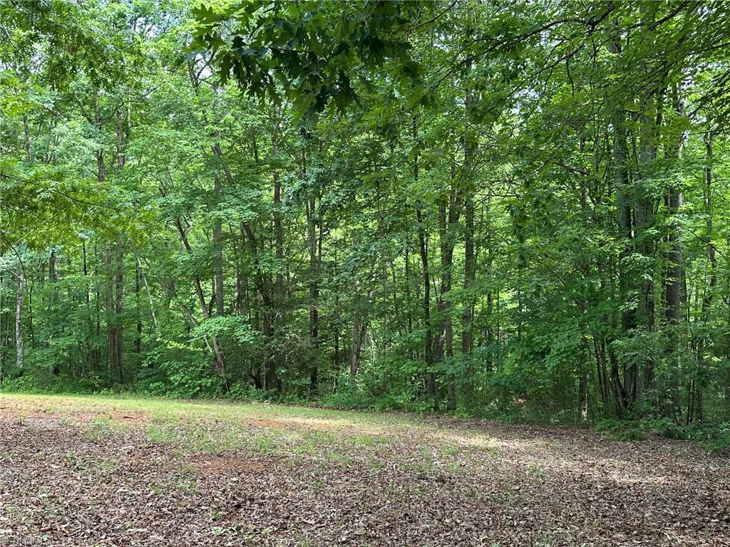 249 Laurel Bluff Trail Dobson, NC 27017 - Photo 18 of 25 view from driveway