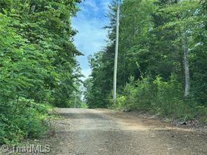 249 Laurel Bluff Trail Dobson, NC 27017 - Photo 20 of 25