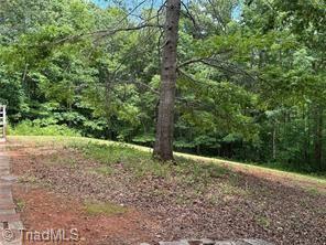 249 Laurel Bluff Trail Dobson, NC 27017 - Photo 21 of 25