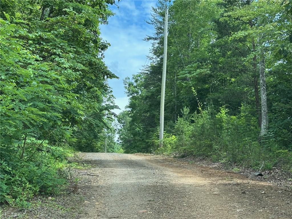 249 Laurel Bluff Trail Dobson, NC 27017 - Photo 4 of 25