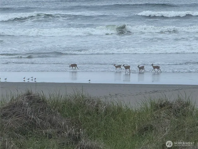 $325,900 | 1317 Ocean Shores Boulevard Southwest, Unit 4, Ocean Shores, WA 98569