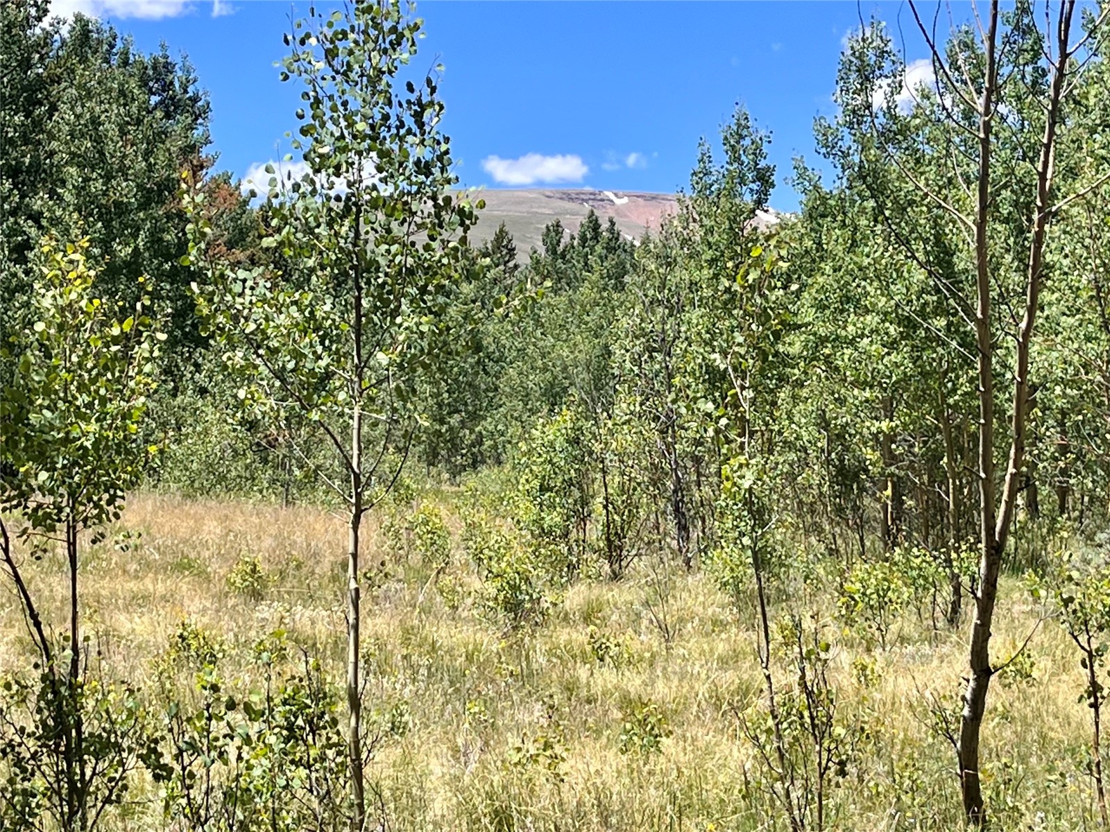 845 Adventure Road Alma, CO 80420 - Photo 11 of 31 Gallery Image 11